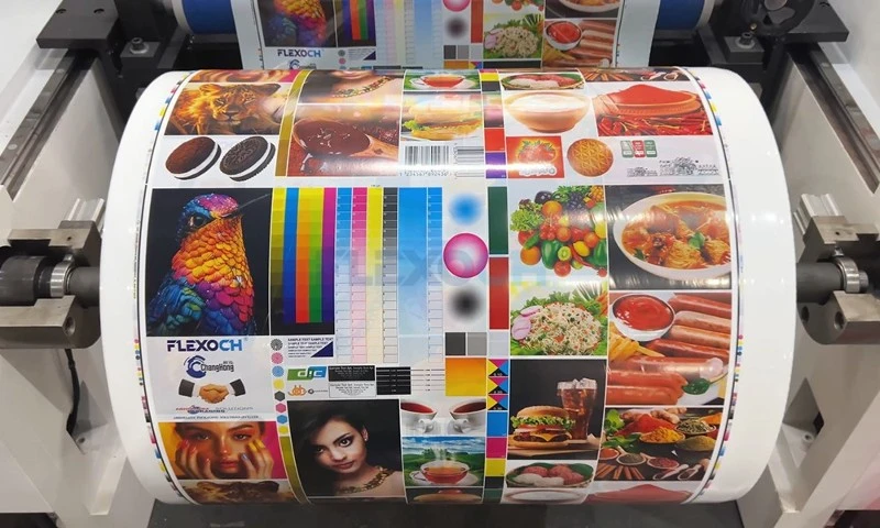 FLEXOCH Flexo printing machine FLEXOCH Flexo printing machine
